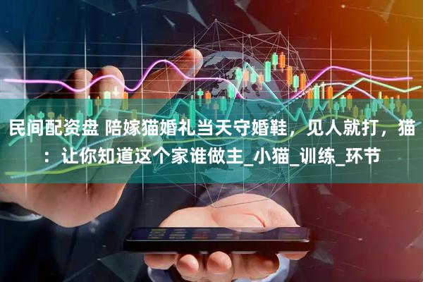 民间配资盘 陪嫁猫婚礼当天守婚鞋，见人就打，猫：让你知道这个家谁做主_小猫_训练_环节