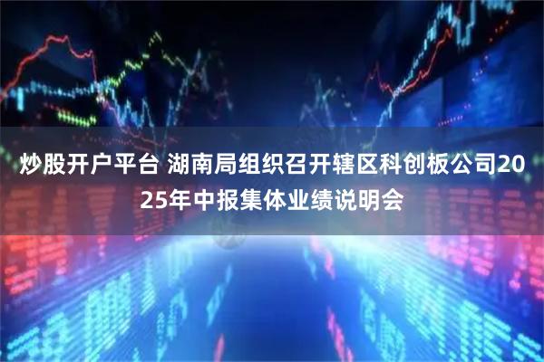 炒股开户平台 湖南局组织召开辖区科创板公司2025年中报集体业绩说明会