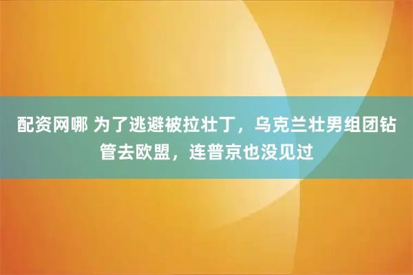 配资网哪 为了逃避被拉壮丁，乌克兰壮男组团钻管去欧盟，连普京也没见过